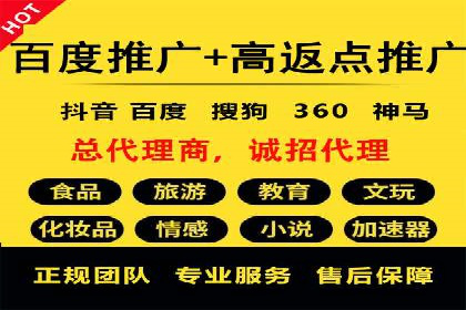 百度推广实战案例：成功之路